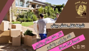 شركة نقل عفش بيش